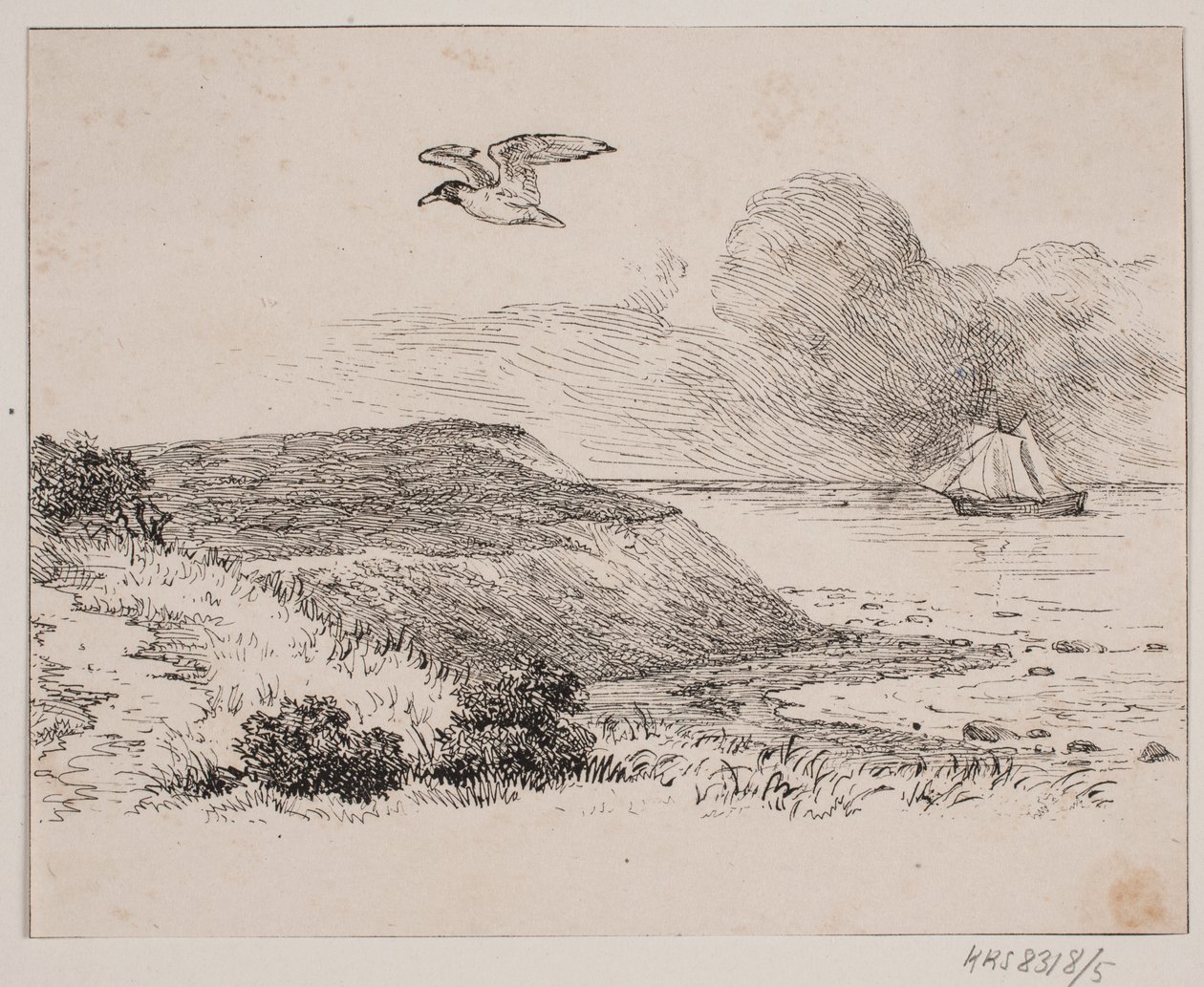 The Seagull by Johan Adolph Kittendorff