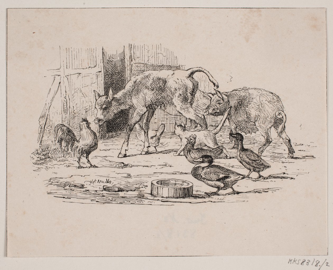 The Calf by Johan Adolph Kittendorff