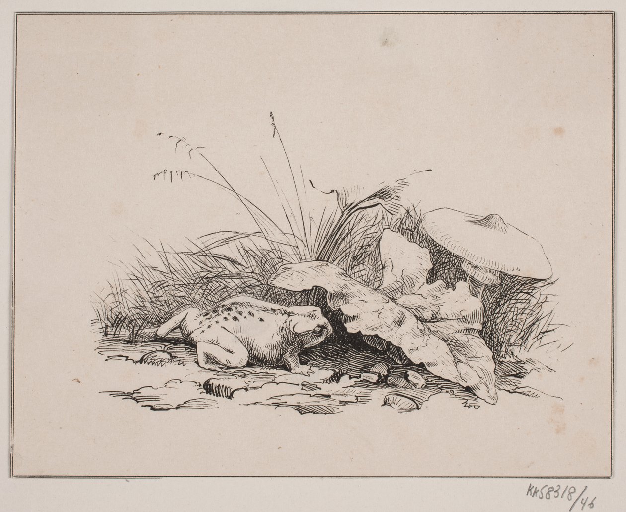 The Toad by Johan Adolph Kittendorff