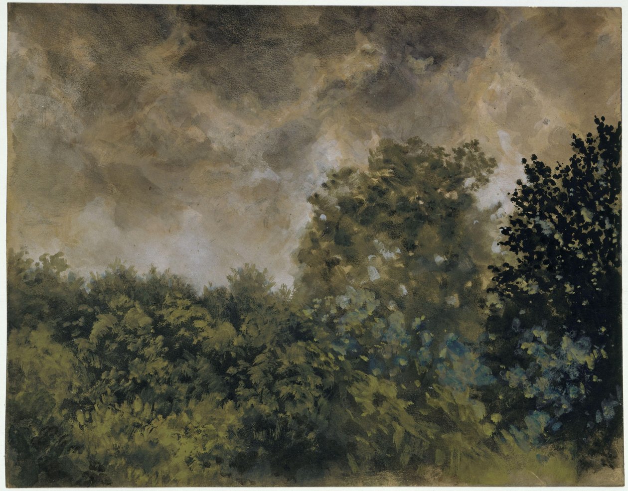 View of Foliage by Adolph Menzel