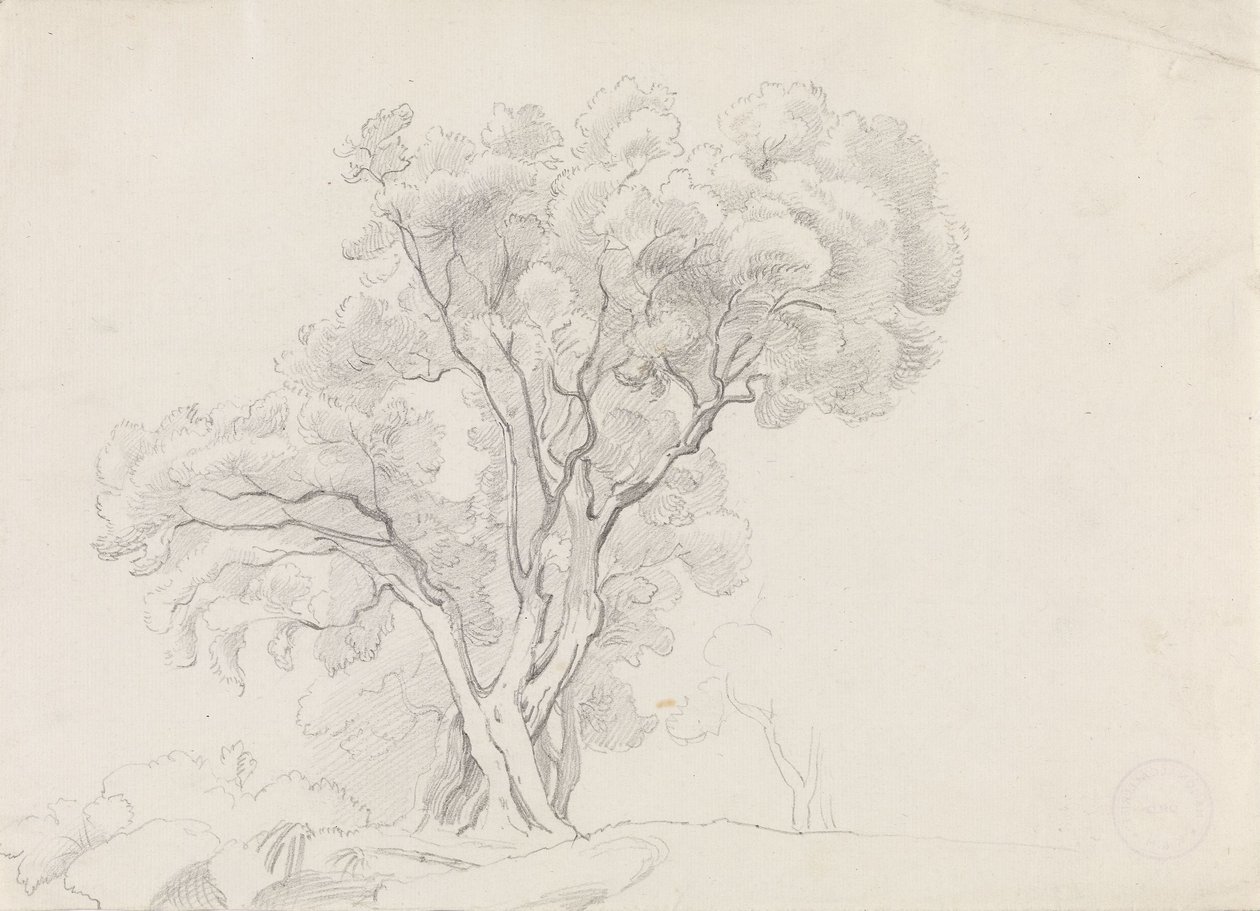 Deciduous Trees by Adolph Tidemand