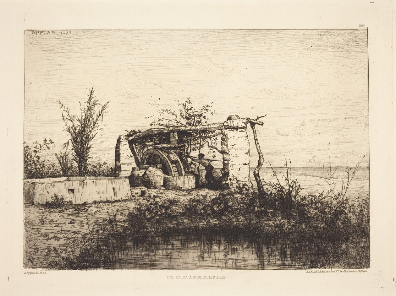 A Moria in Bordighera (Italy) by Adolphe Appian