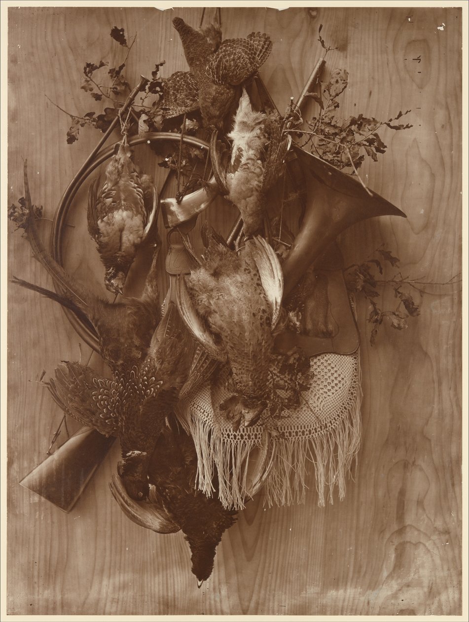 Pheasant and Grouse by Adolphe Braun