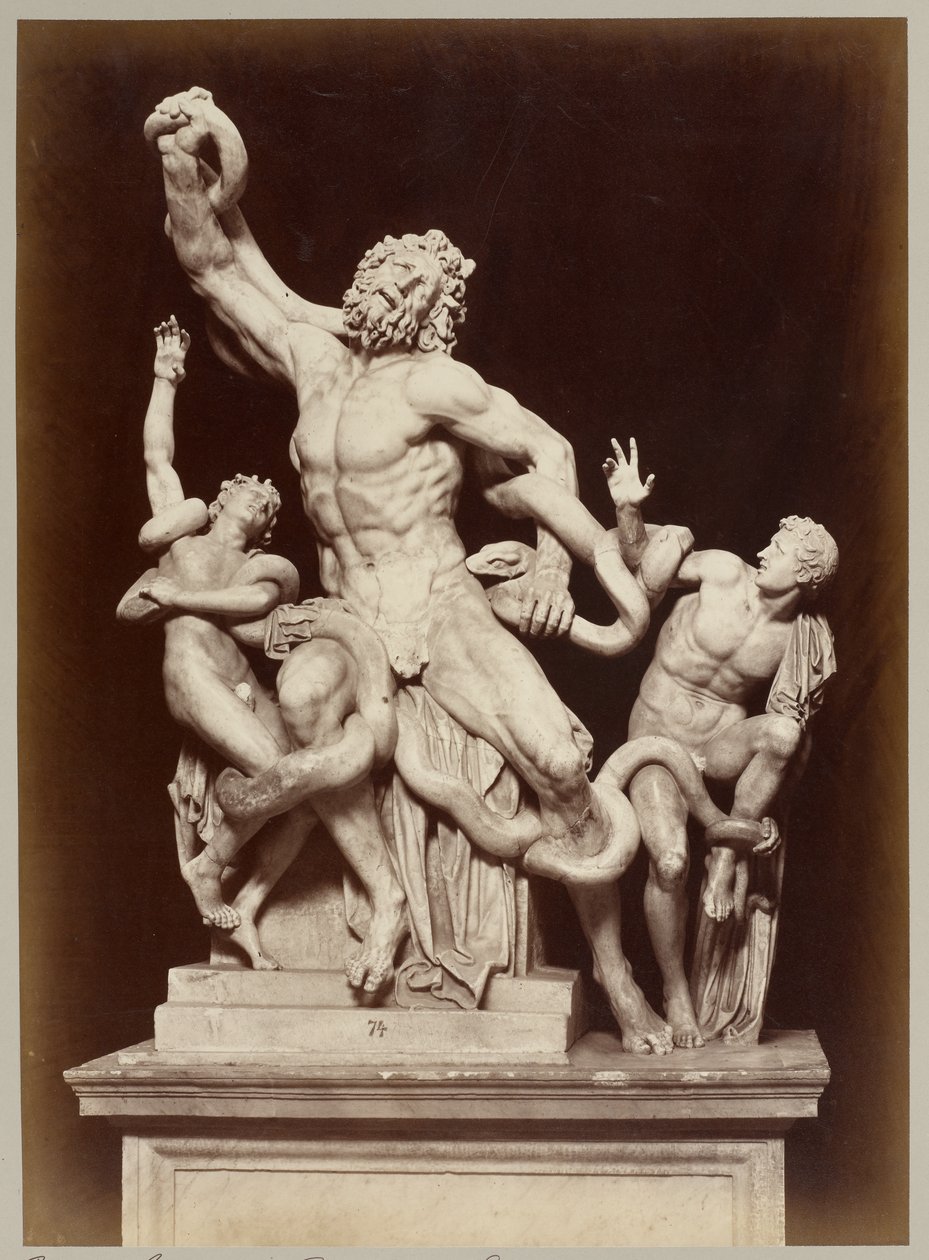 The Laocoon in the Vatican Museum by Adolphe Braun