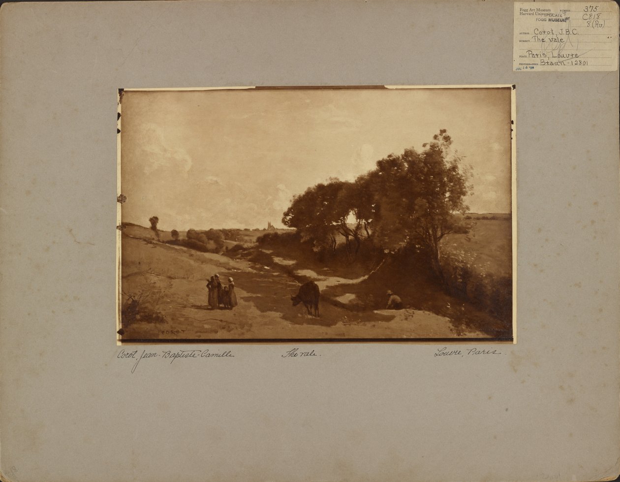 The Vale by Adolphe Braun