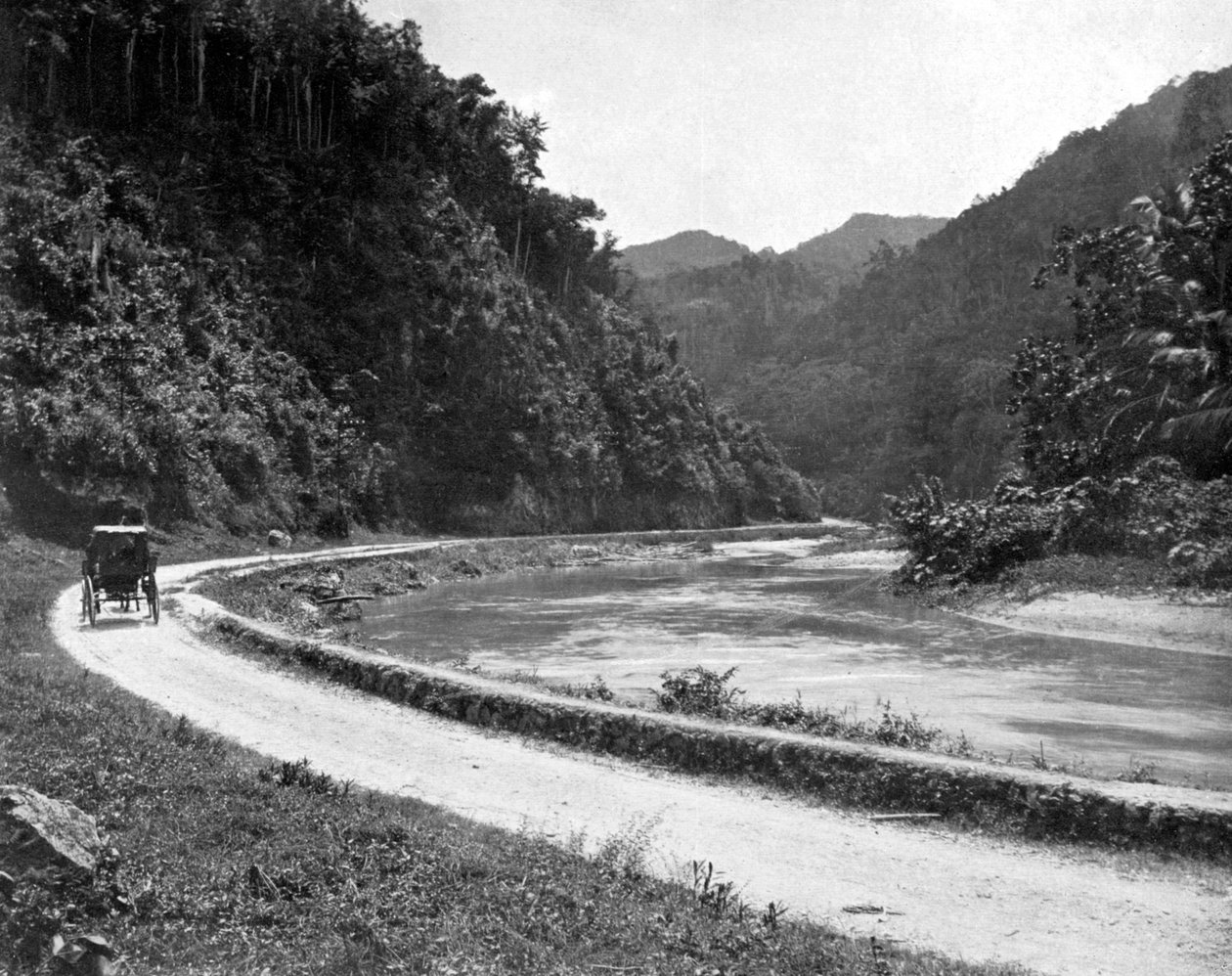 Road to Bog Walk, Jamaica, c1905 by Adolphe Duperly and Son