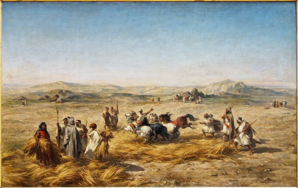 Threshing Wheat in Algeria by Adolphe Pierre Leleux