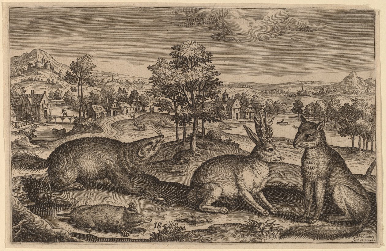 A Mole, a Badger, a Horned Hare and a Fox by Adriaen Collaert