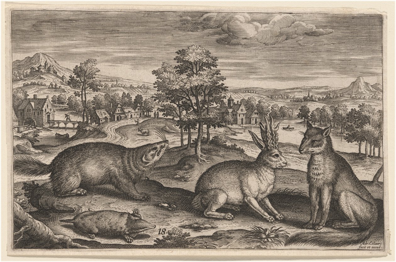 A Mole, a Badger, a Horned Hare and a Fox by Adriaen Collaert