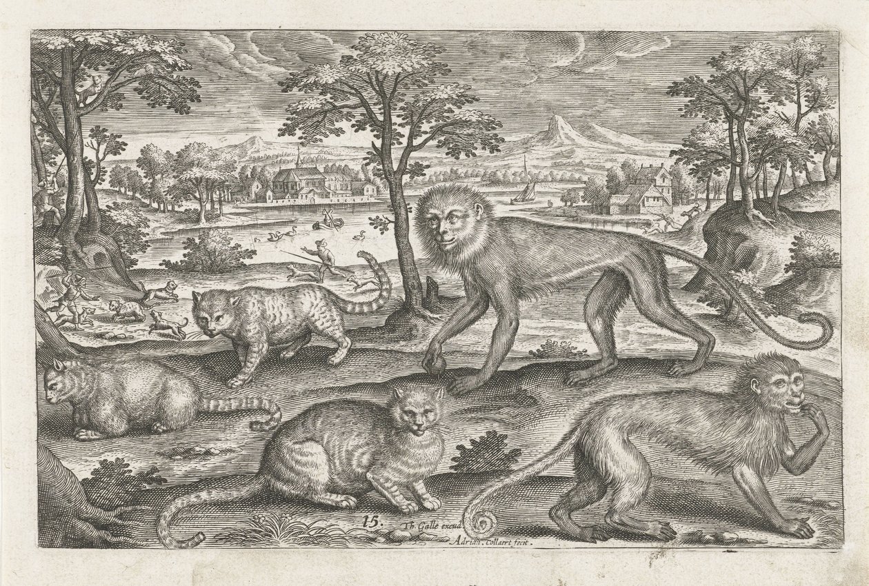 Monkeys and Cats (Four-legged Animals) by Adriaen Collaert