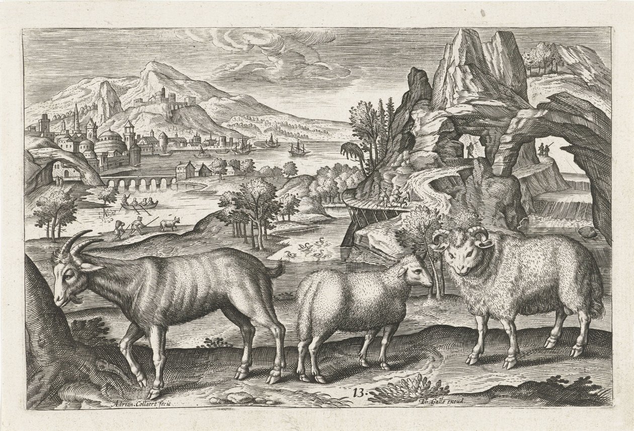 Goat and Sheep (Four-Legged Animals) by Adriaen Collaert