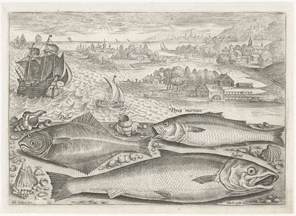 Three Fish on the Beach by Adriaen Collaert