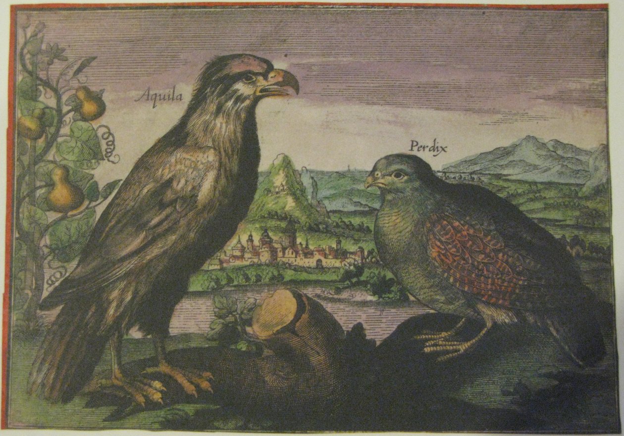 Eagle and Partridge by Adriaen Collaert