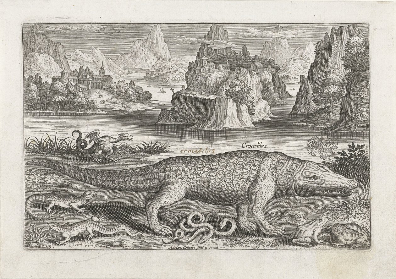 Several Reptiles and Amphibians on a Shore (Piscivm Vivae Icones) by Adriaen Collaert