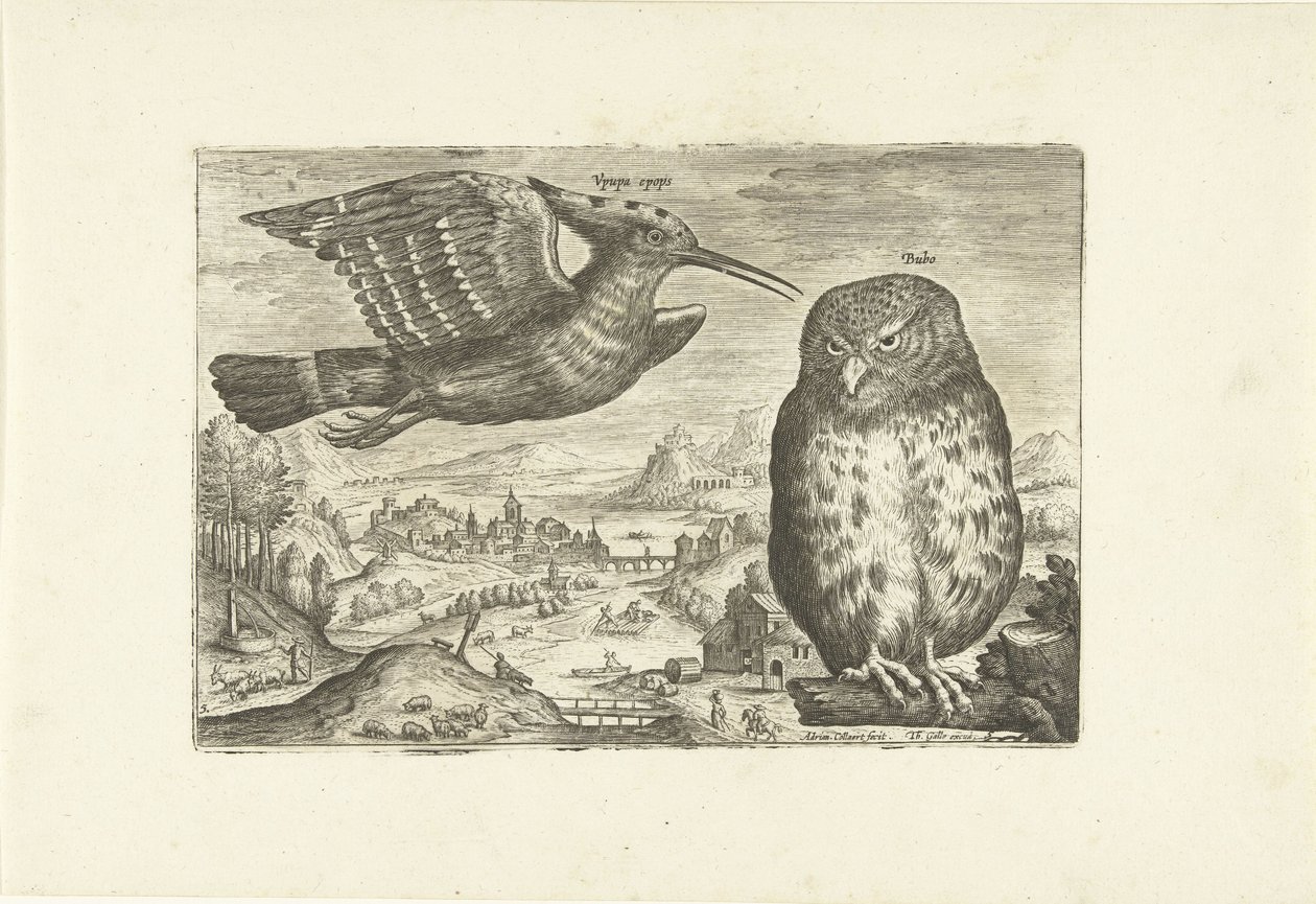 Several Birds in a Landscape by Adriaen Collaert