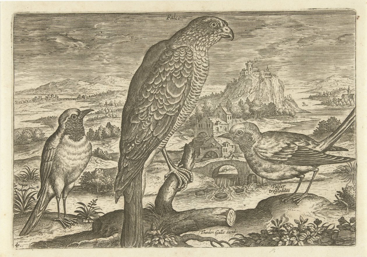 Some Birds in a Landscape by Adriaen Collaert