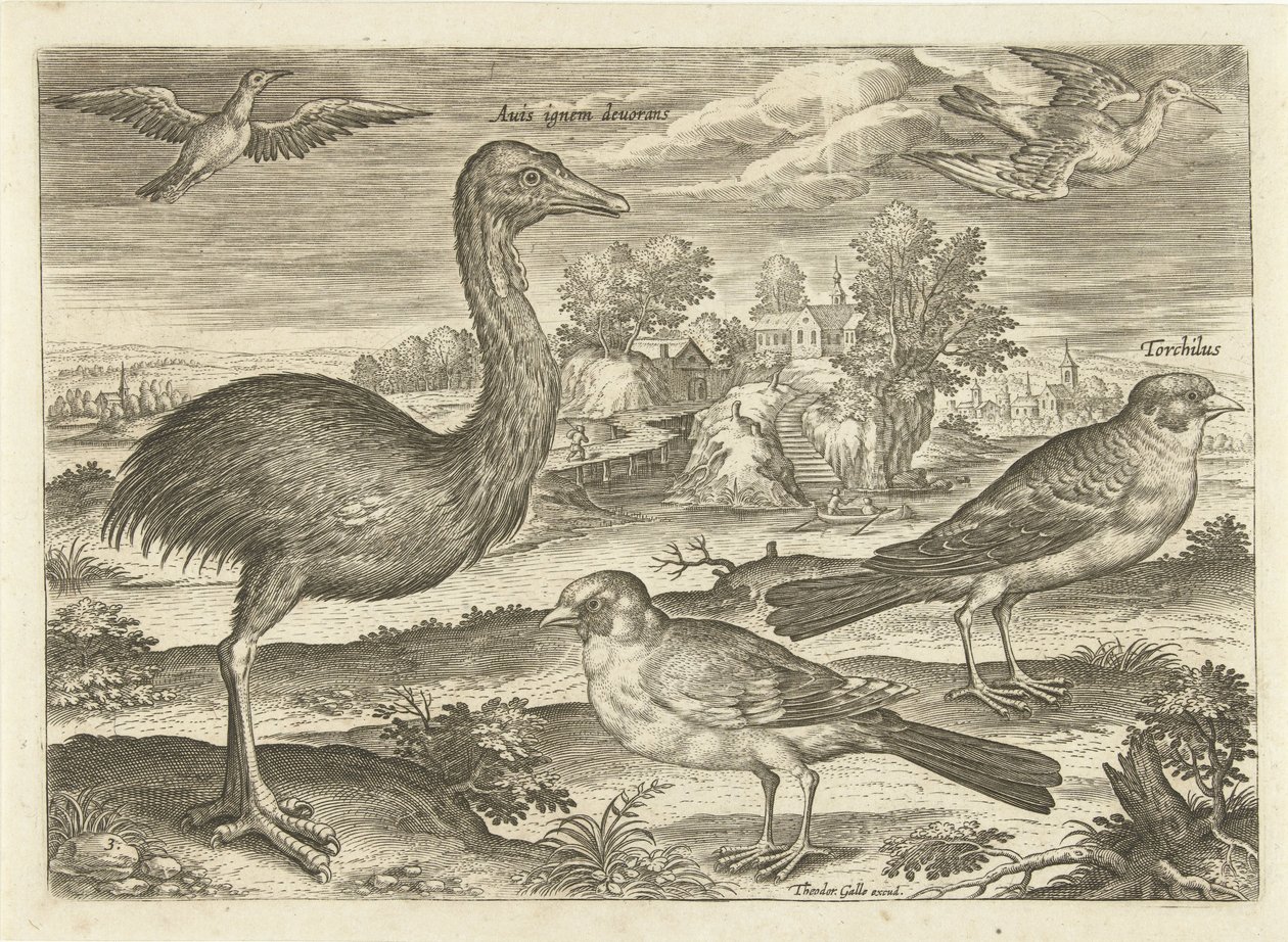 Several Birds in a Landscape (Avivm Vivae series) by Adriaen Collaert