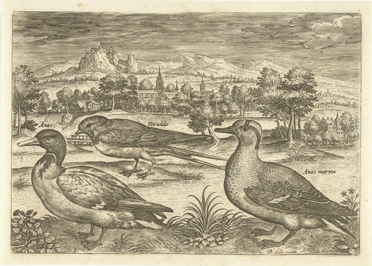 Several Birds in a Landscape by Adriaen Collaert