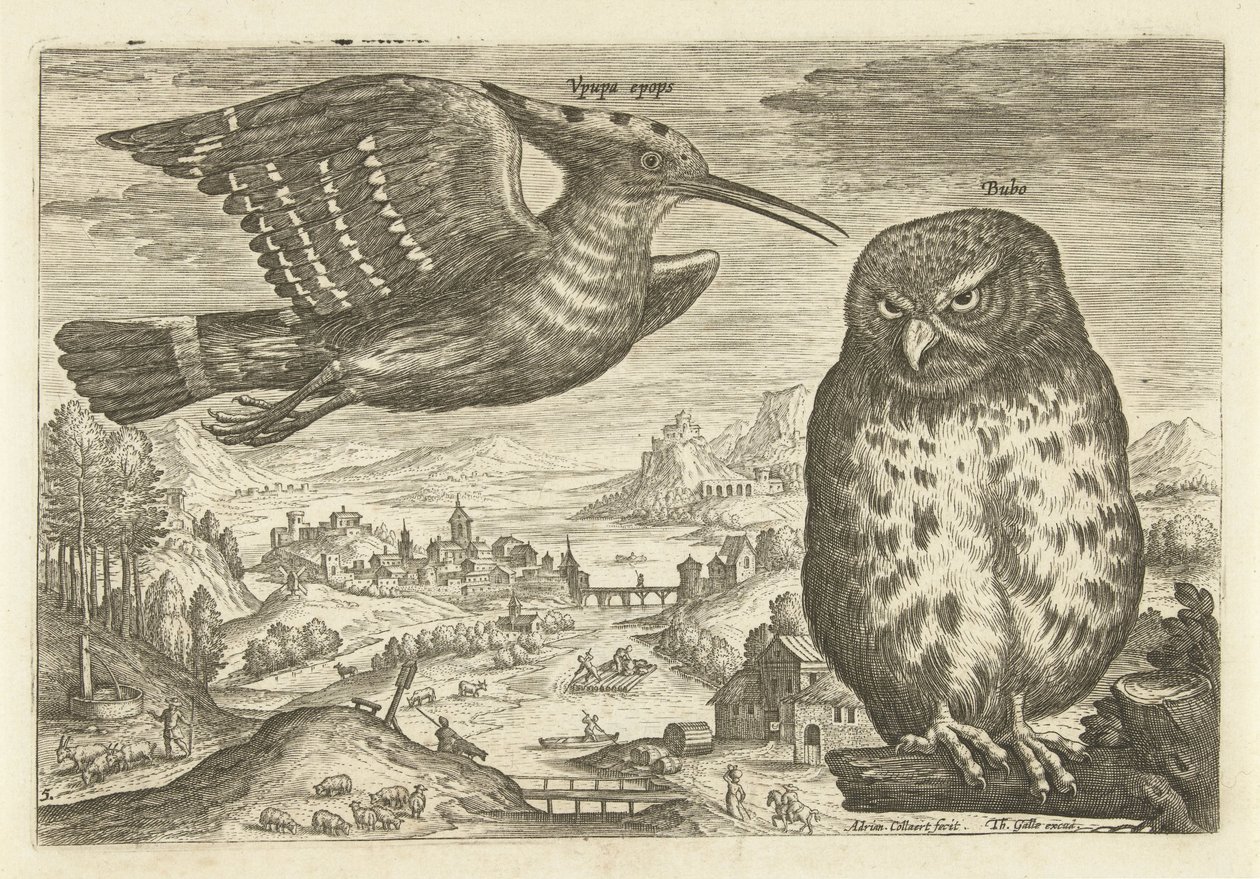 Several Birds in a Landscape (series title: Avivm vivae) by Adriaen Collaert
