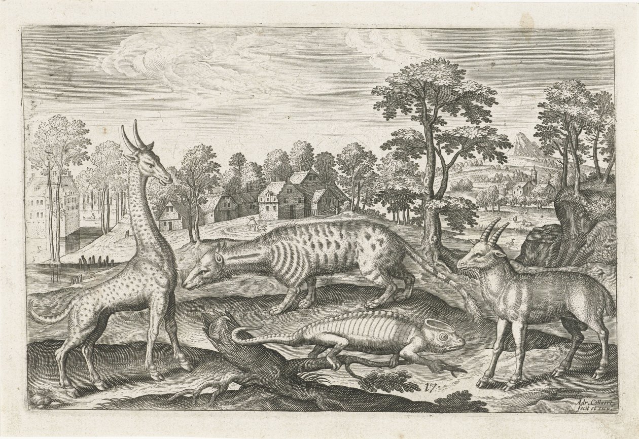 Exotic Animals by Adriaen Collaert