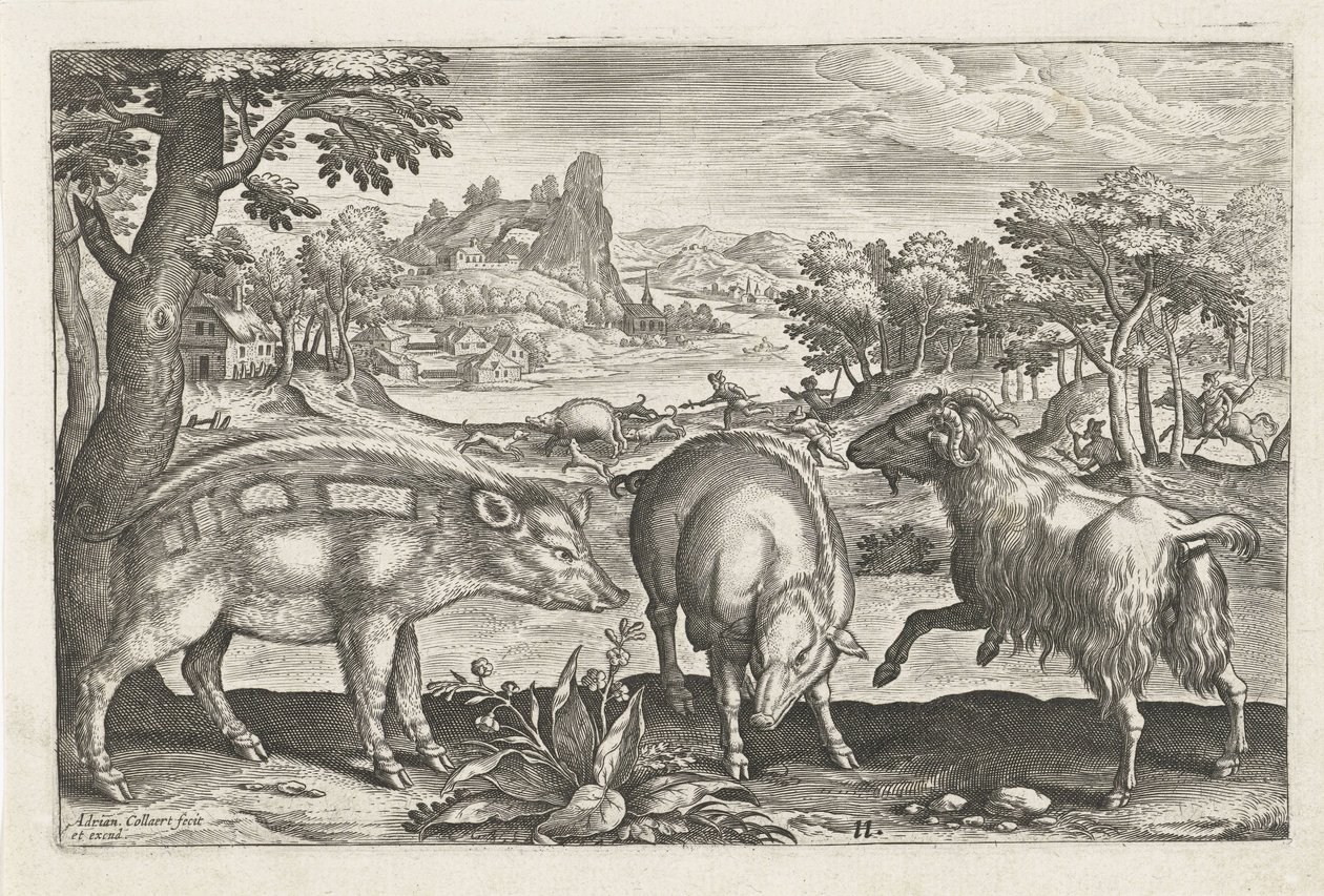 Goat and Pigs by Adriaen Collaert
