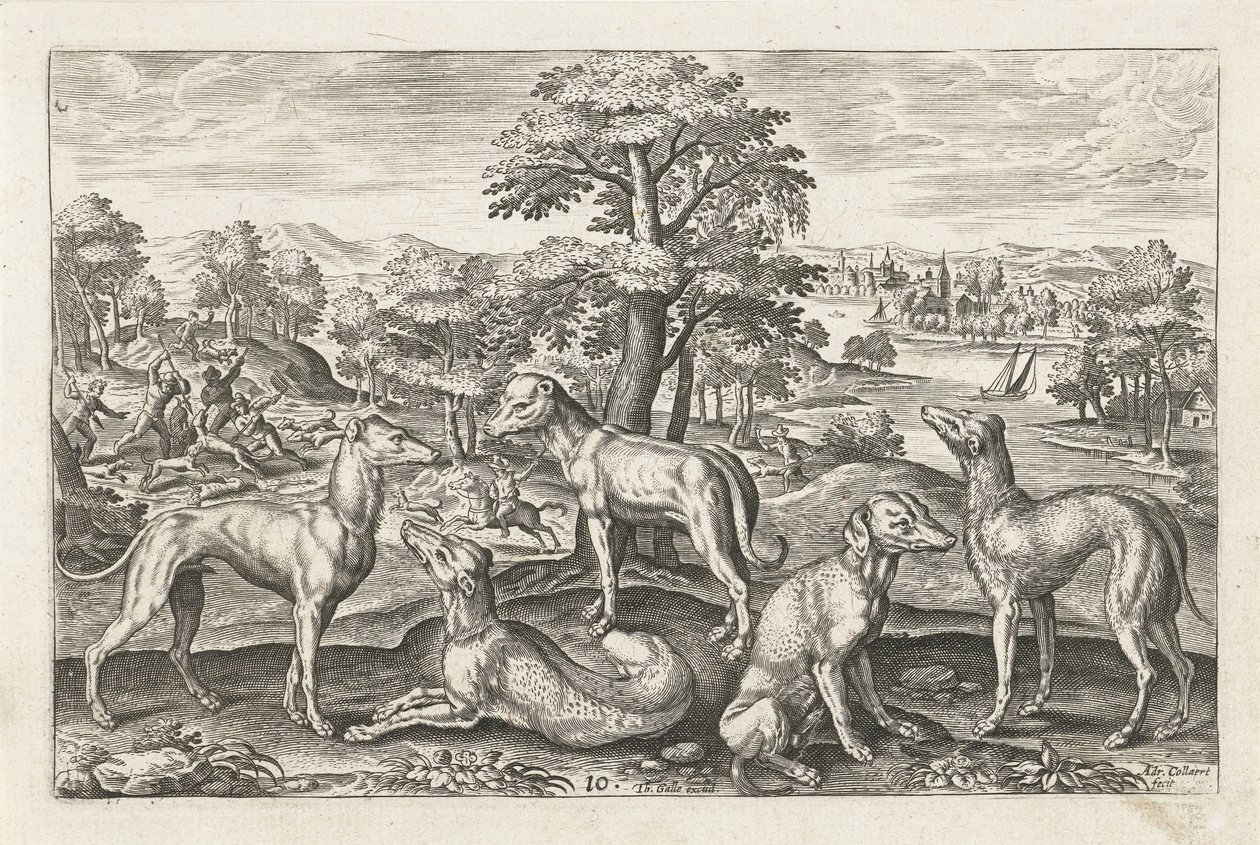 Hunting Dogs by Adriaen Collaert