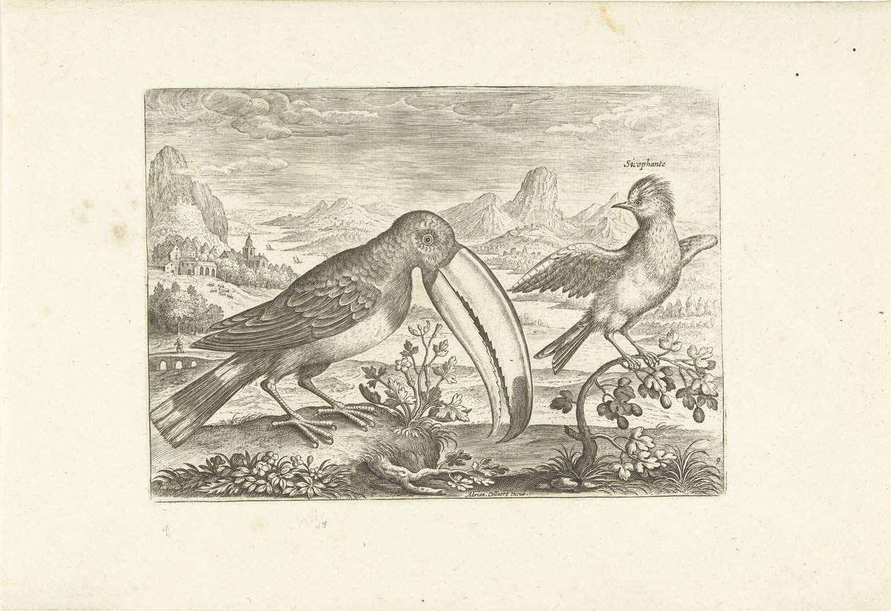 Two Exotic Birds in a Landscape (Birds) by Adriaen Collaert