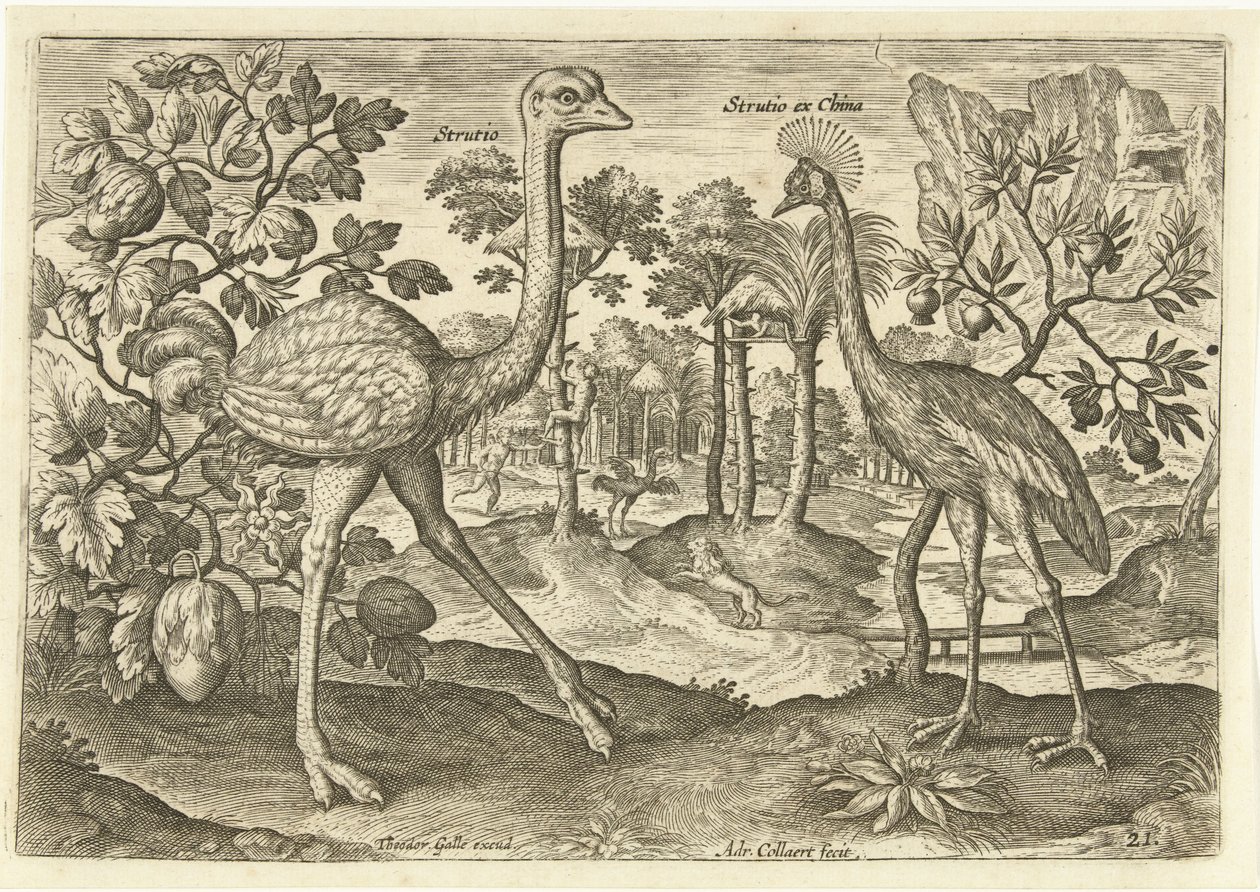 Two Ratites in a Landscape by Adriaen Collaert