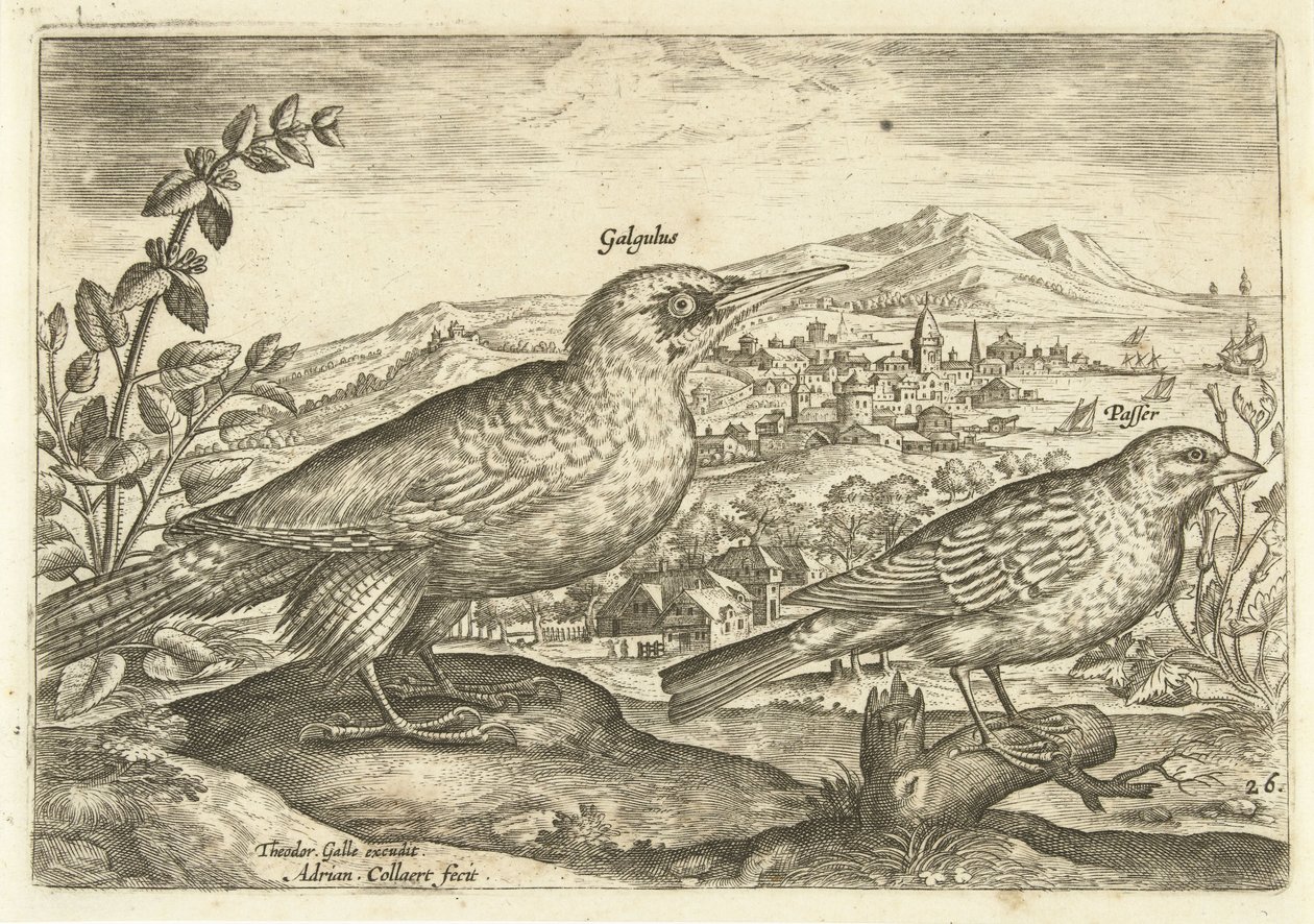 Two Birds in a Landscape by Adriaen Collaert