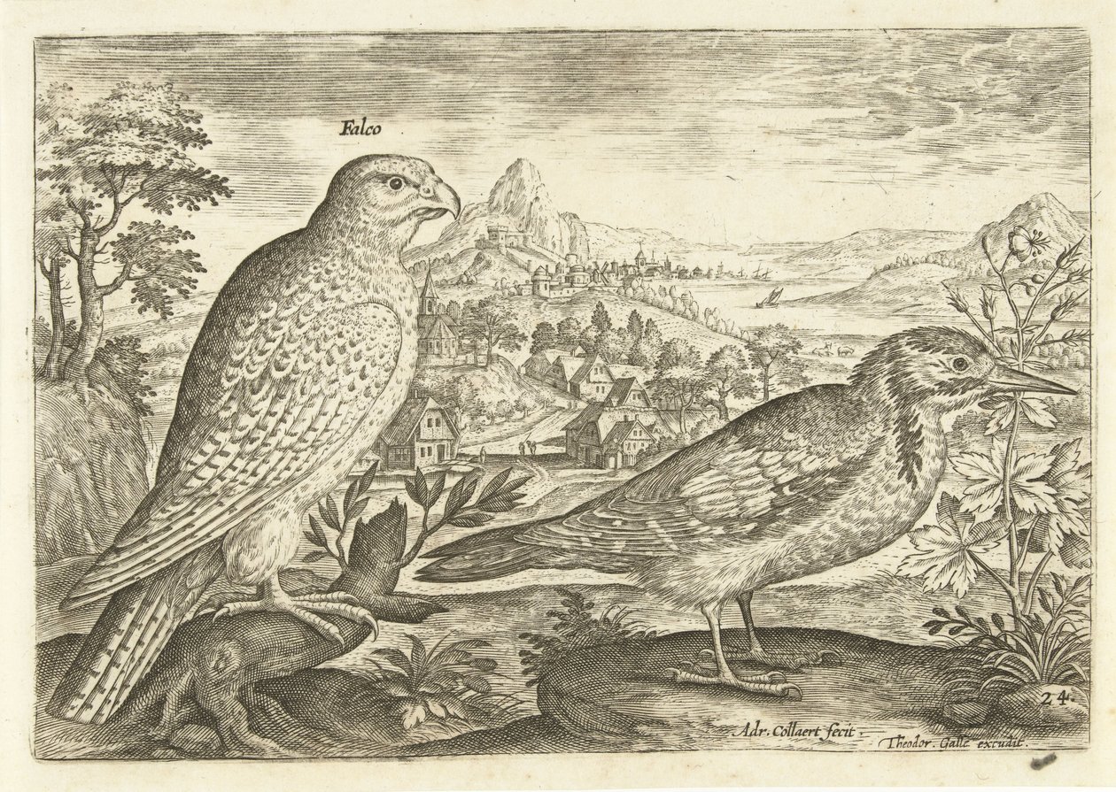 Two Birds in a Landscape by Adriaen Collaert