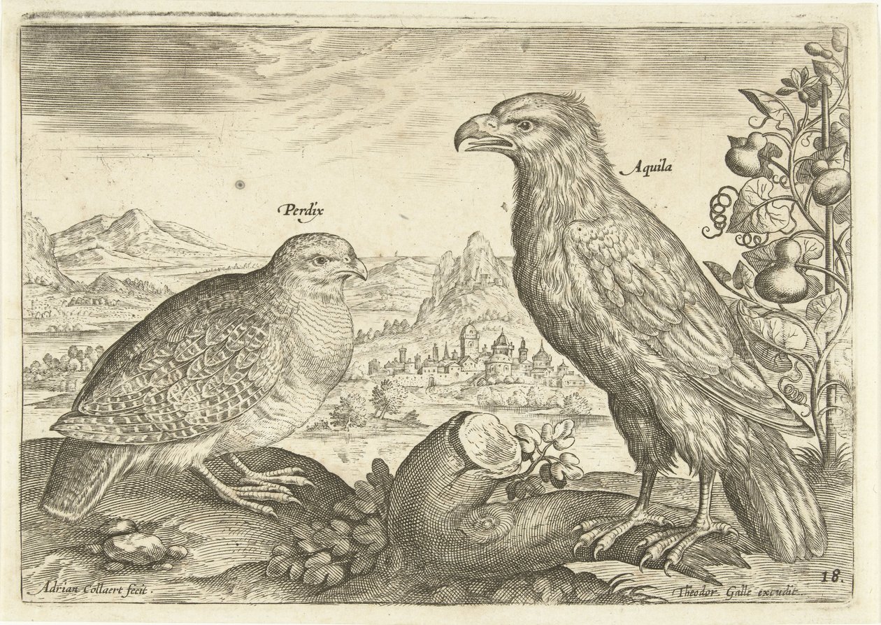 Two Birds in a Landscape (Avivm Vivae / Birds series) by Adriaen Collaert