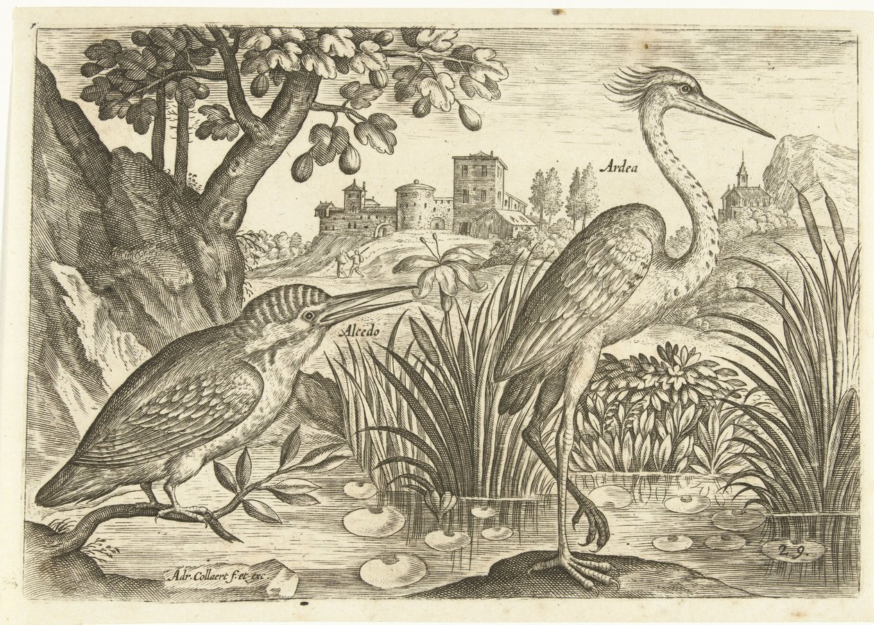 Two Birds in a Landscape (series title: Birds, Avivm Vivae) by Adriaen Collaert