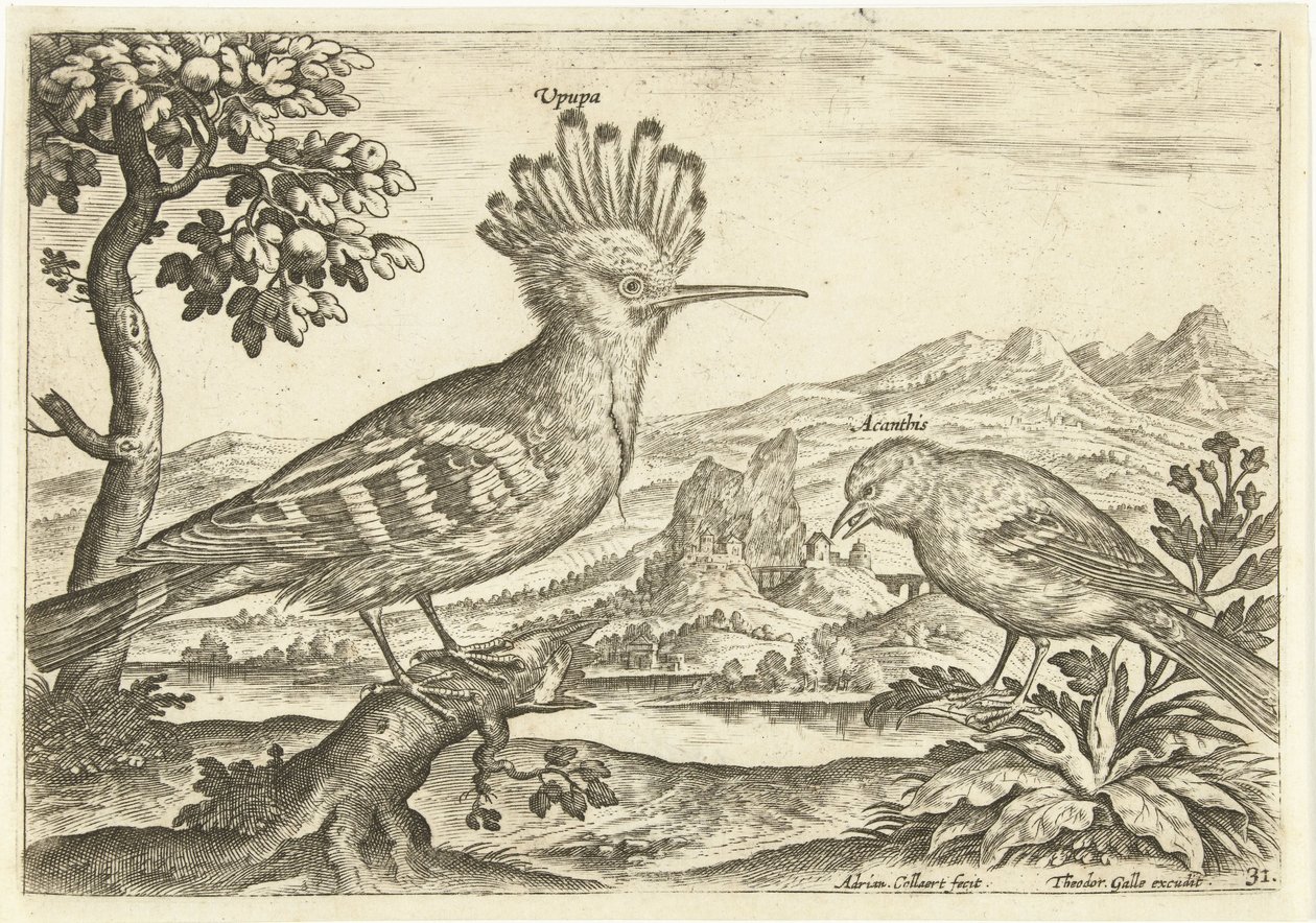Two Birds in a Landscape (series title) by Adriaen Collaert