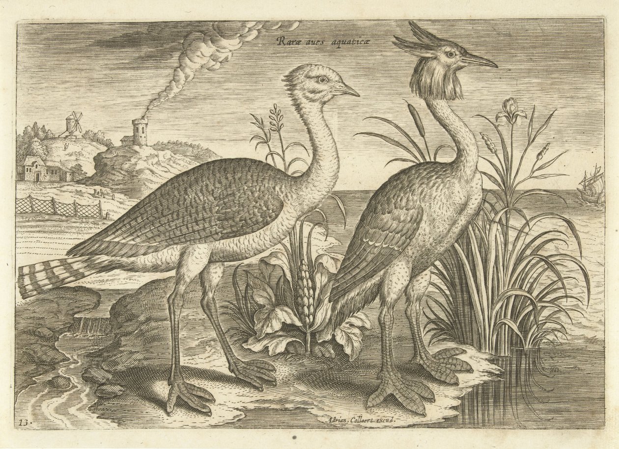 Two Wading Birds in a Landscape by Adriaen Collaert