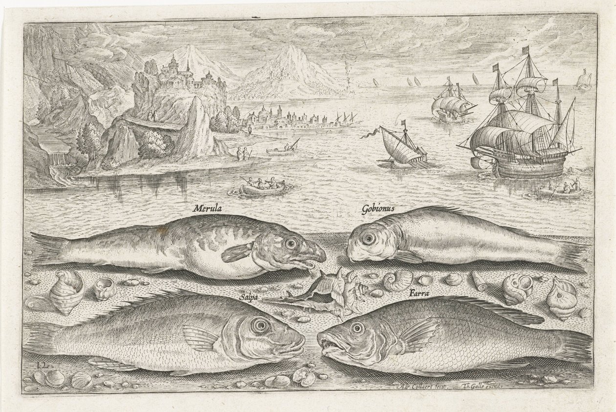 Four Fish on the Beach by Adriaen Collaert