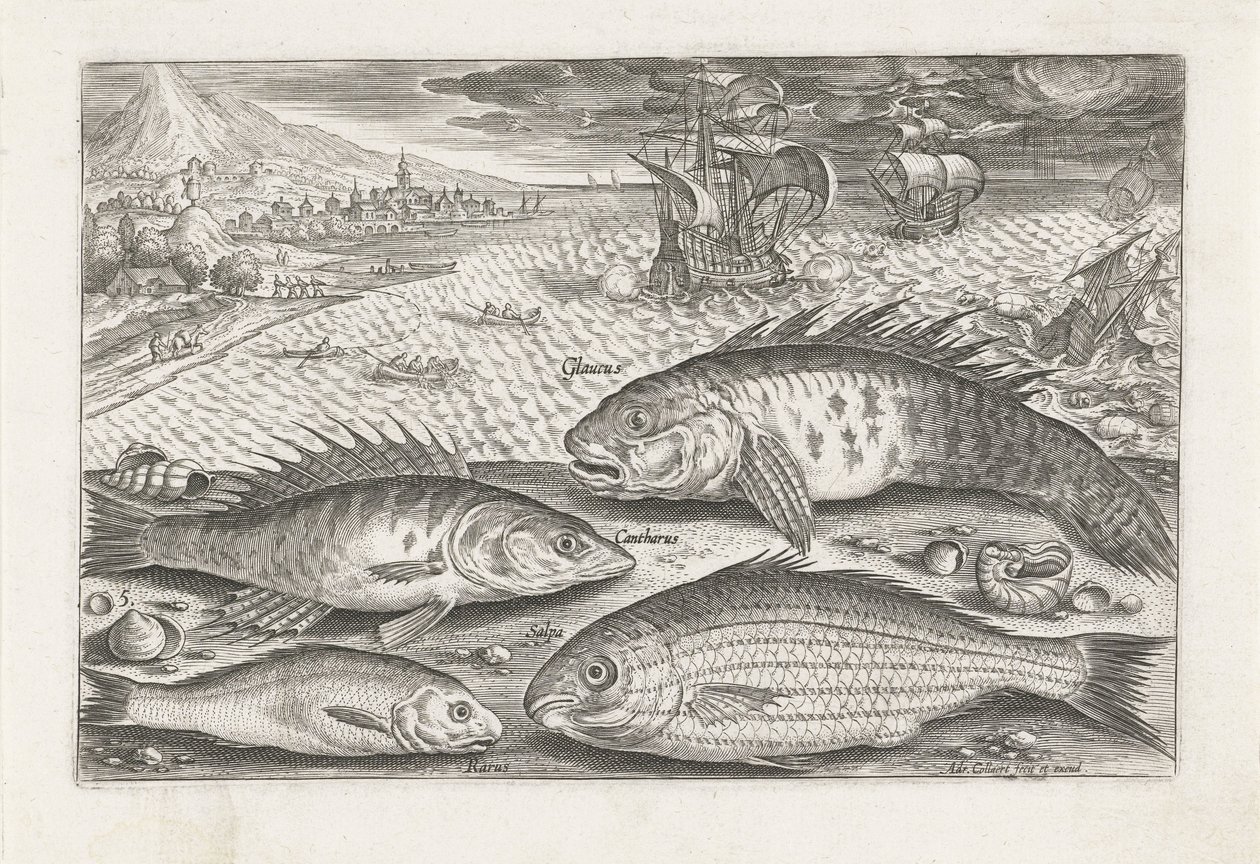 Four Fish on the Beach by Adriaen Collaert