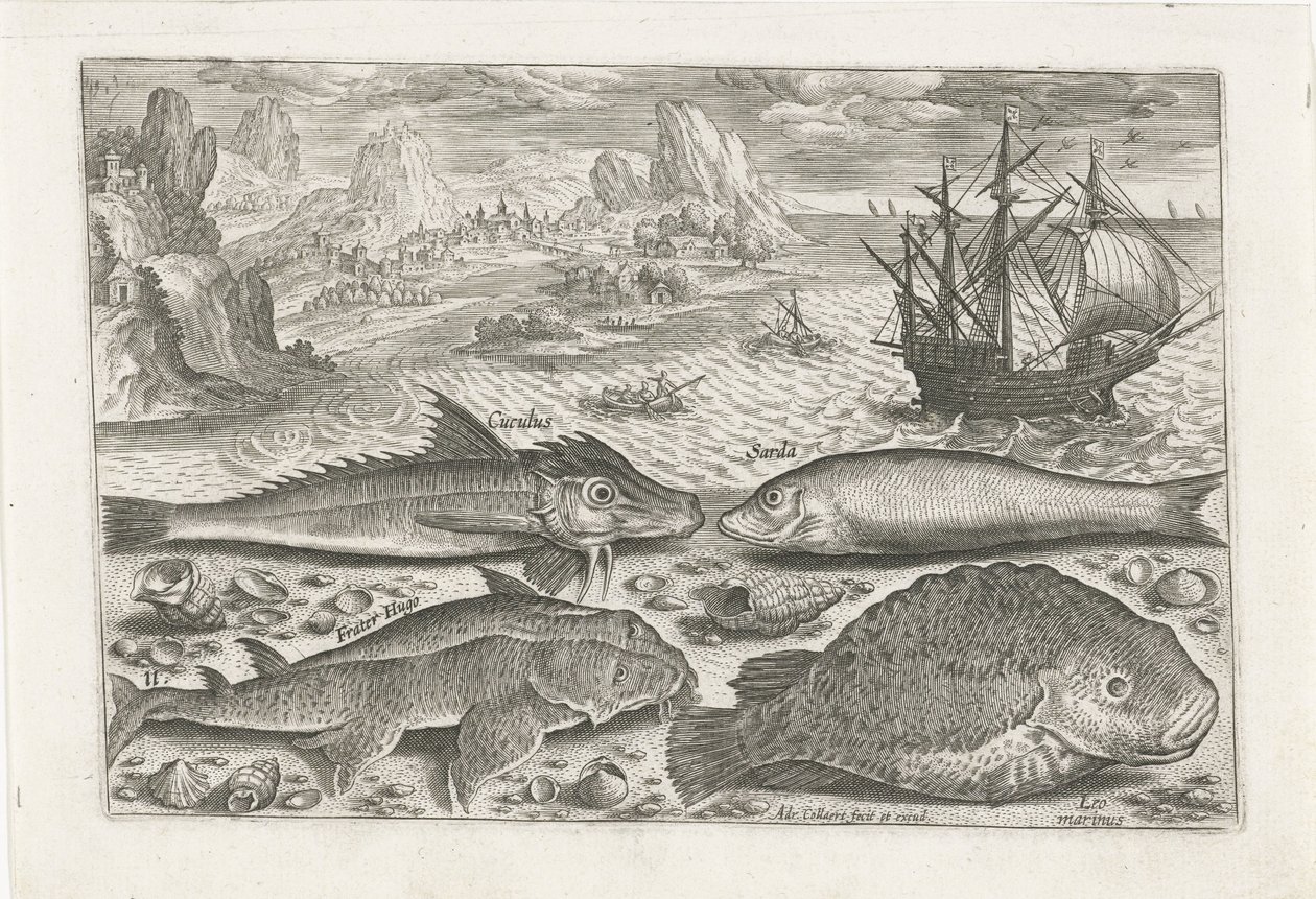 Four Fish on the Beach by Adriaen Collaert