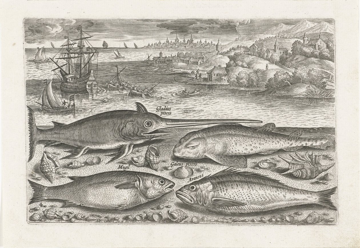 Four Fish on the Beach by Adriaen Collaert