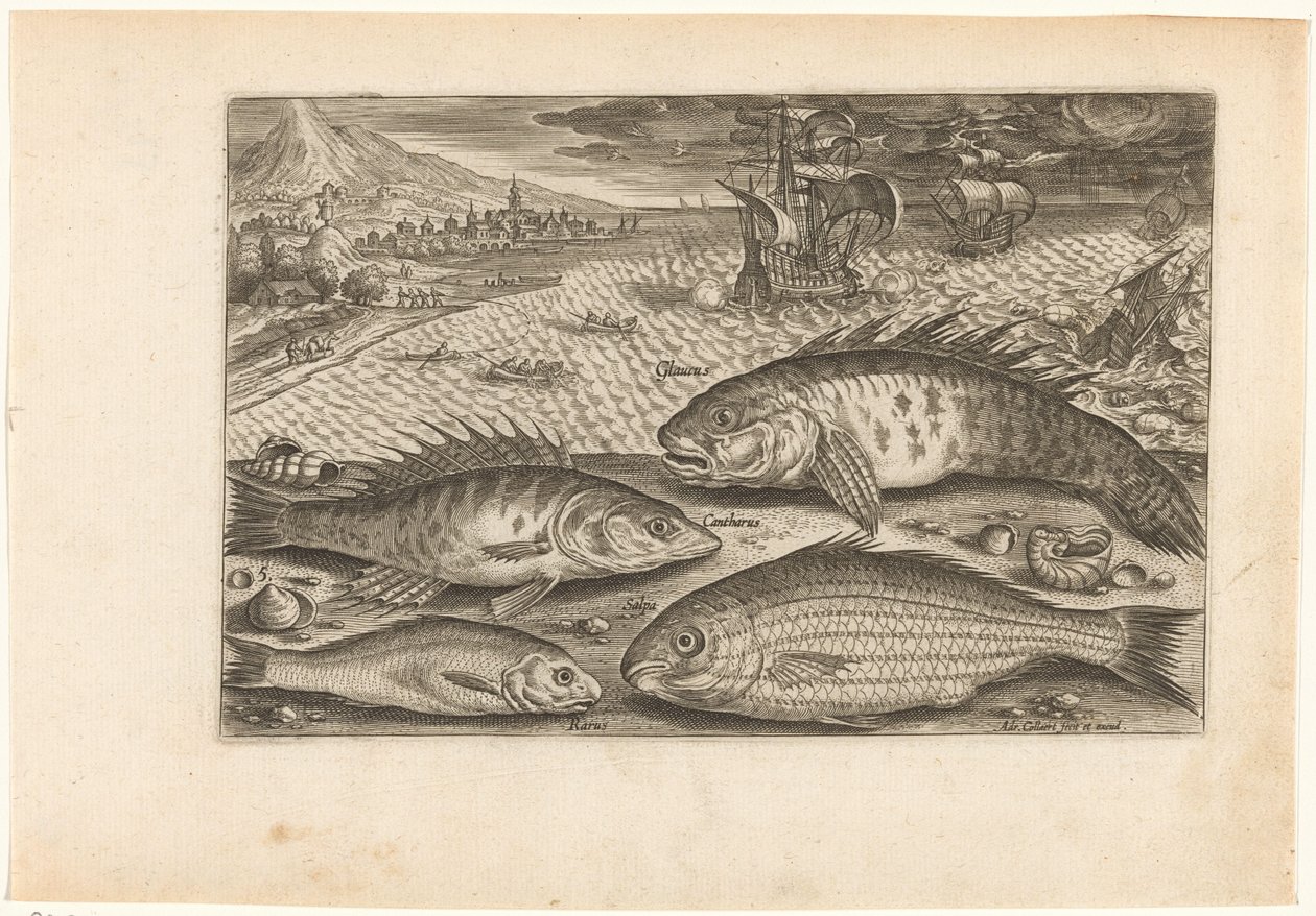 Four Fish on the Beach by Adriaen Collaert