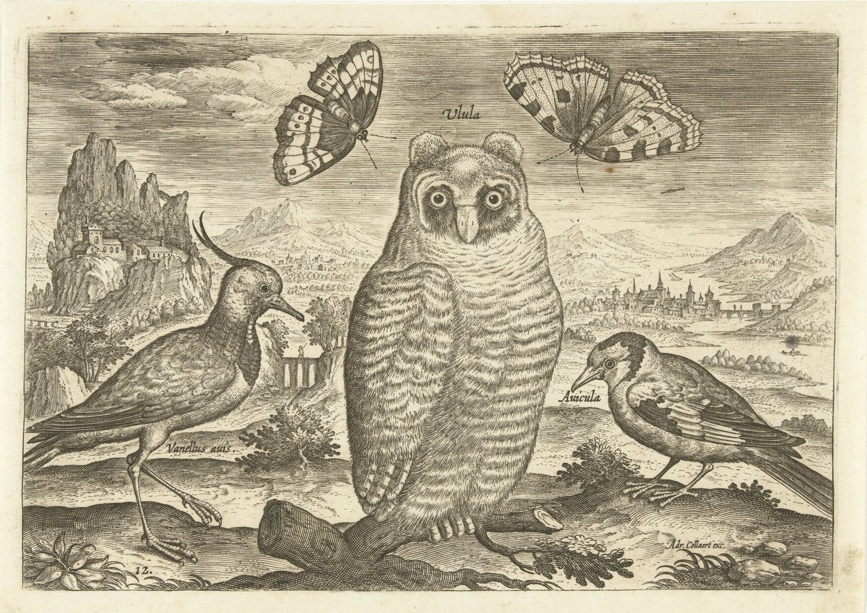 Birds and Butterflies in a Landscape by Adriaen Collaert
