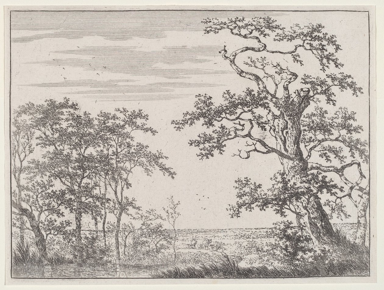 Landscape with a Stream and an Ancient Tree by Adriaen Hendricks Verboom