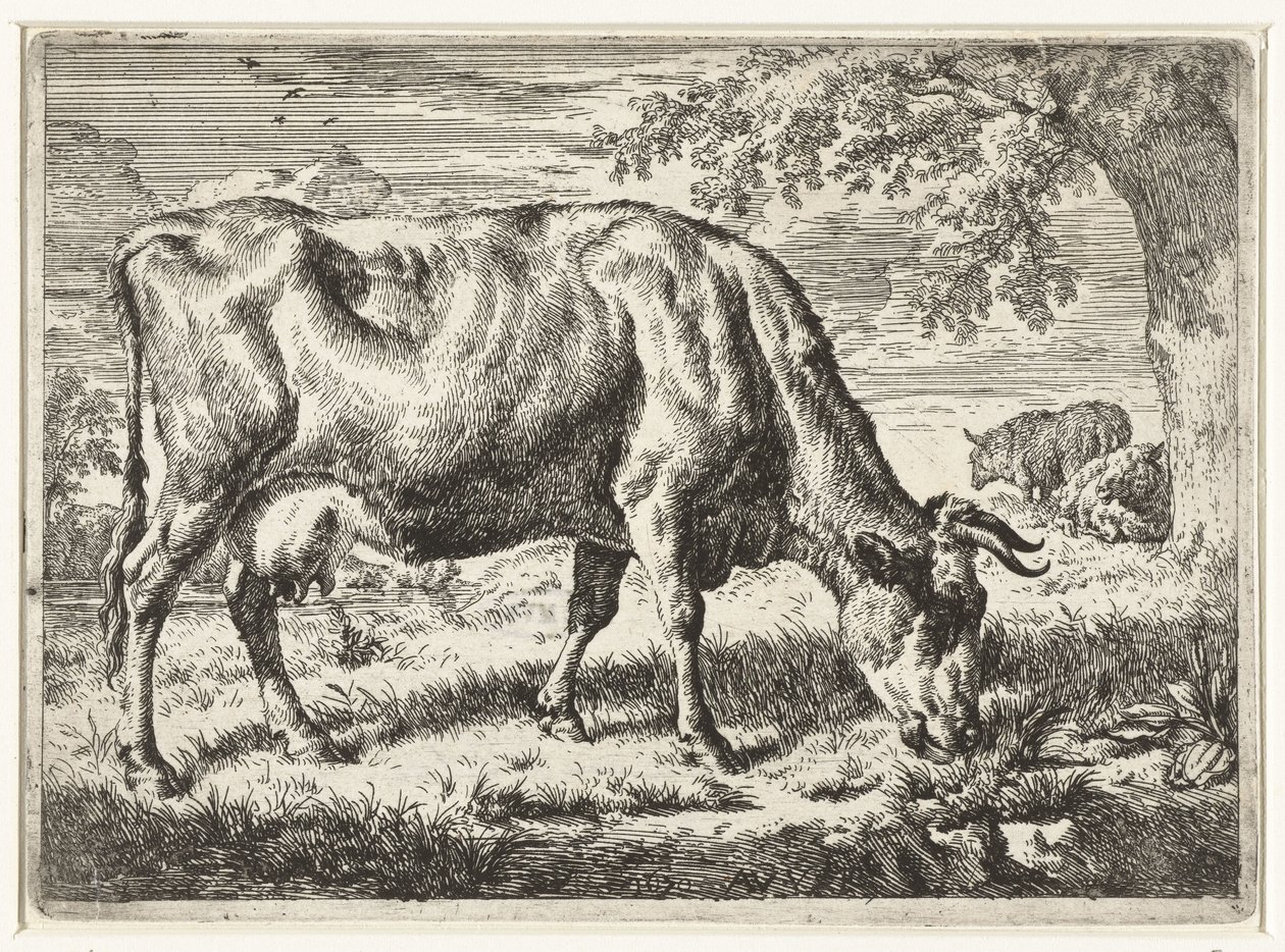 Grazing Cow and Two Sheep (Cows and Sheep) by Adriaen van de Velde