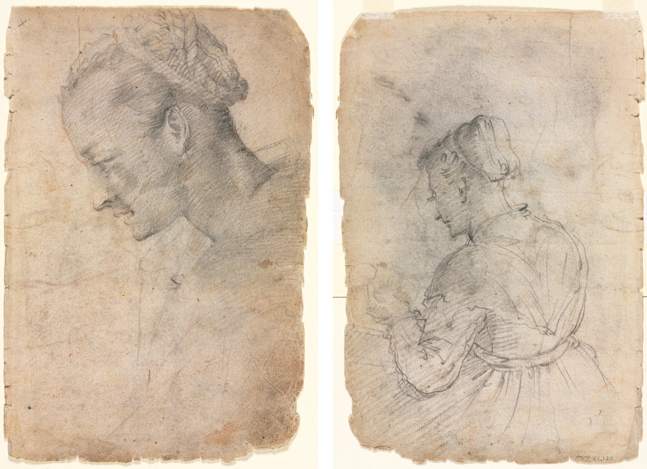Profile of a Woman