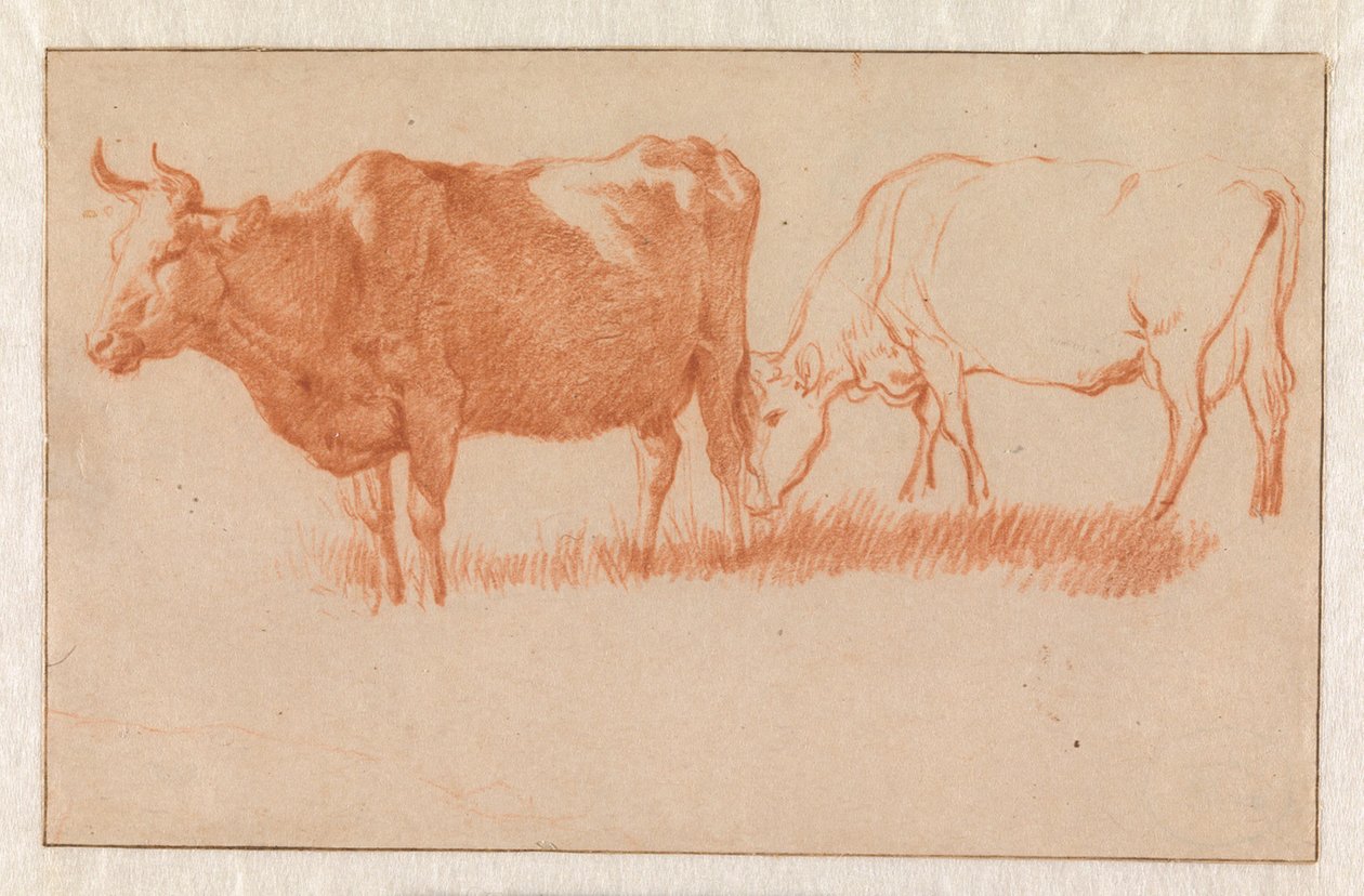 Two Cows by Adriaen van de Velde