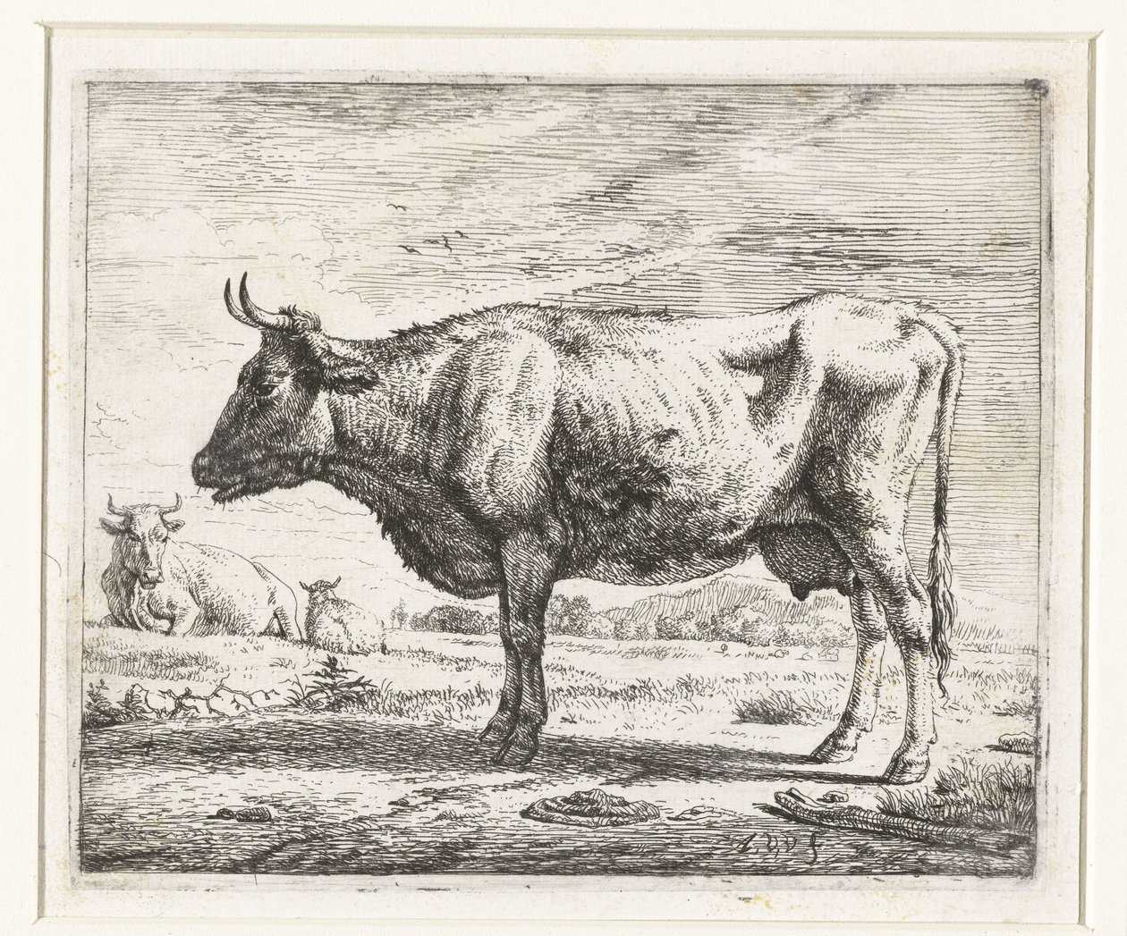 Two Cows and a Sheep (Various Animals) by Adriaen van de Velde