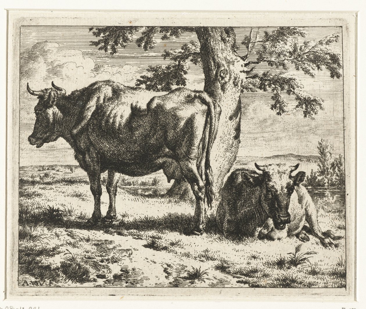 Two Cows Under a Tree by Adriaen van de Velde