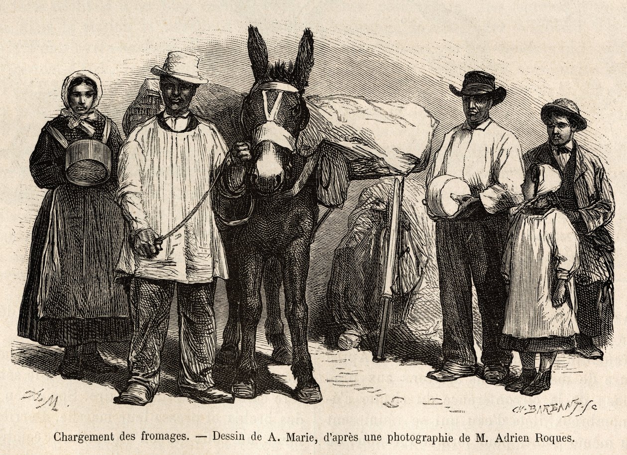 Loading of Cheeses on the Back of a Mule (engraving after a drawing by A. Marie, illustrating a journey to Roquefort and its surroundings by Adrien Roques and Jules Charton, published in 
