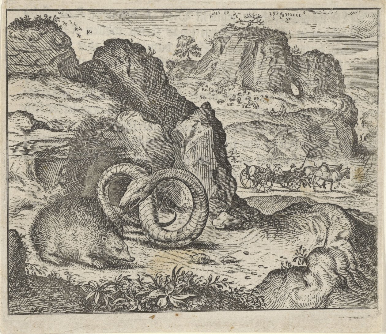 Fable of the Hedgehog and the Snake by Egidius  Sadeler (II)