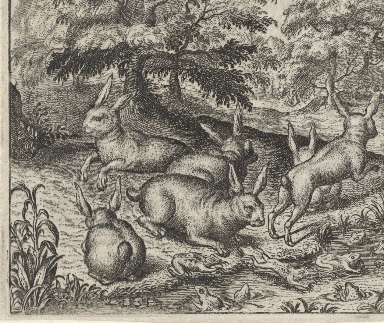 Fable of the Hares and the Frogs by Egidius  Sadeler (II)