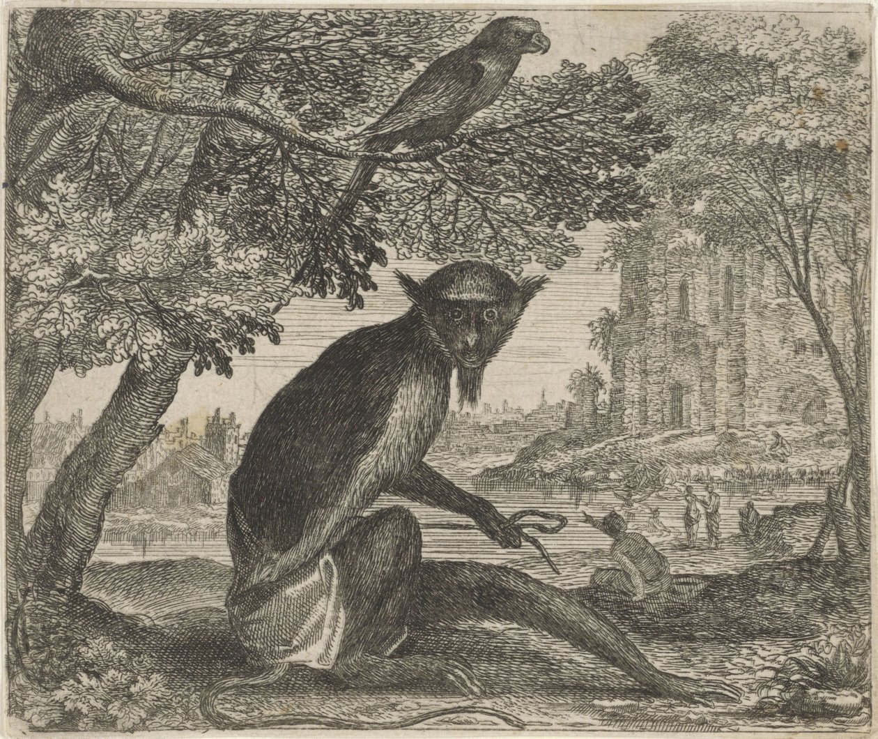 Fable of the Parrot and the Monkey by Egidius  Sadeler (II)